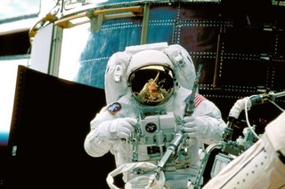 NASA1.jpg