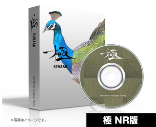 極め.bmp